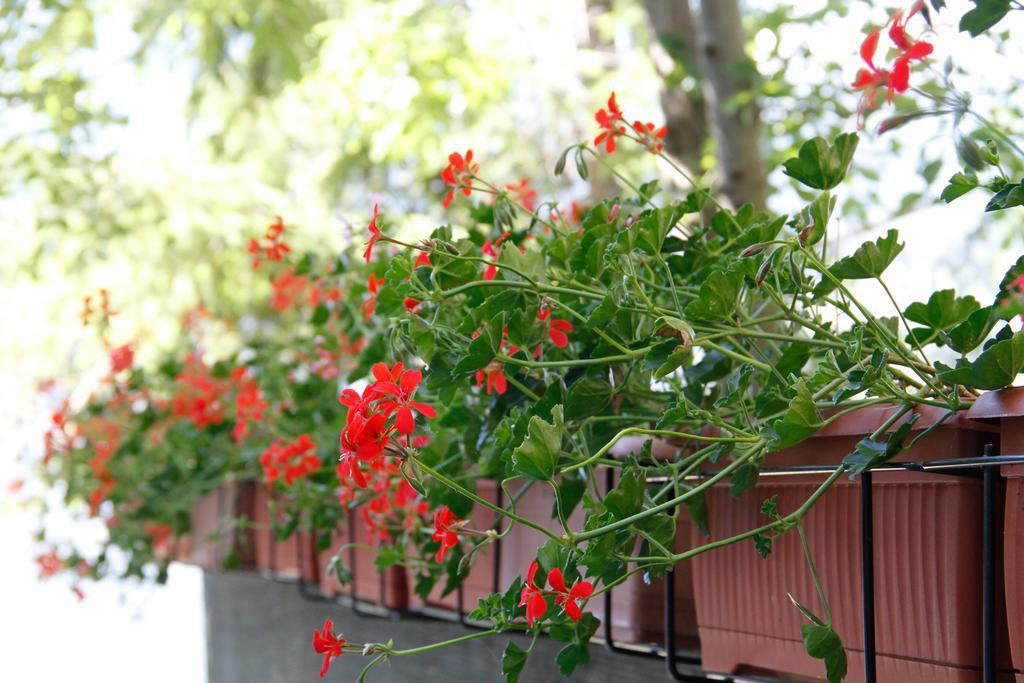 Aparthotel Casa Chamonin Gressan Exterior foto